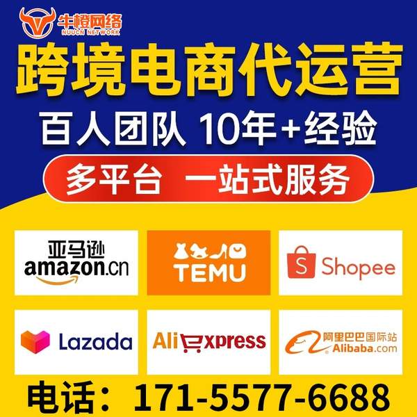 阿勒泰电商代运营