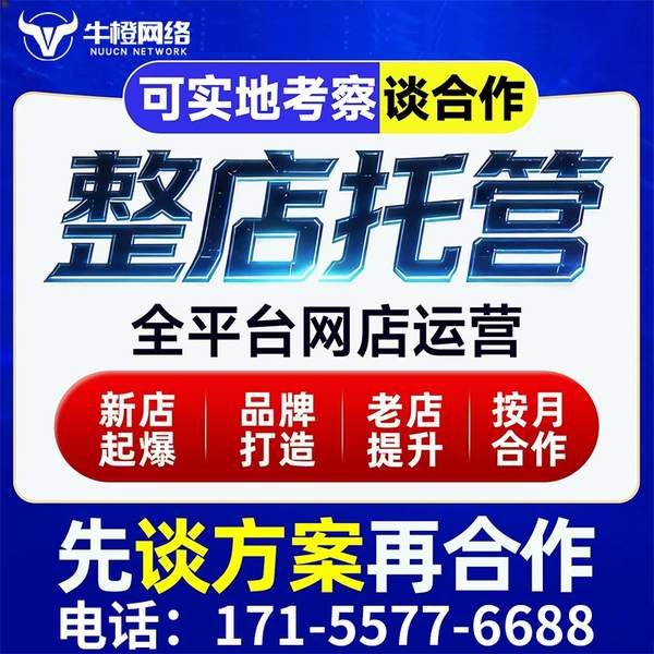 阿勒泰电商代运营