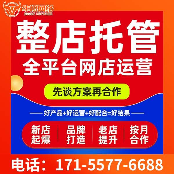 阿勒泰电商代运营