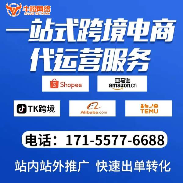 阿勒泰电商代运营