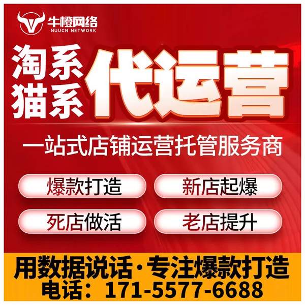 阿勒泰电商代运营